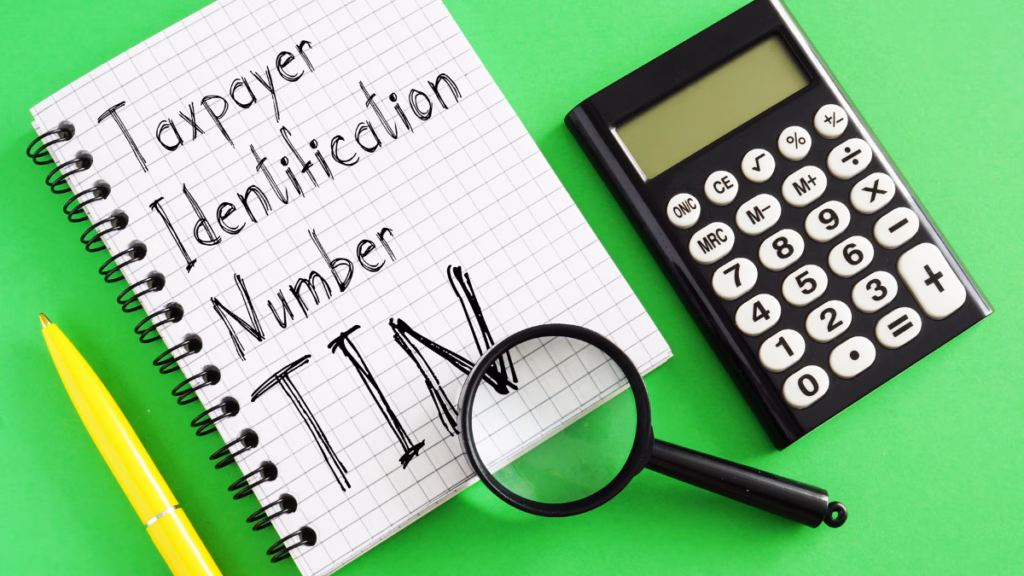 How to Get a Tax Identification Number (TIN) in Nigeria Through the TIN Registration Portal